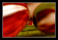 Abstract Photos For Sale 05