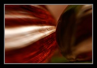 Abstract Photos For Sale 07