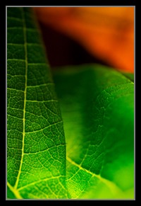 Abstract Photos For Sale Online 21