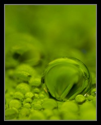 Abstract Photos For Sale 22