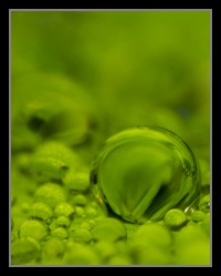 Abstract Photos For Sale Online 22