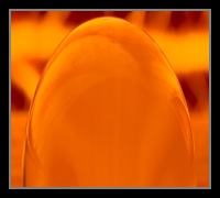 Abstract Photos For Sale 23