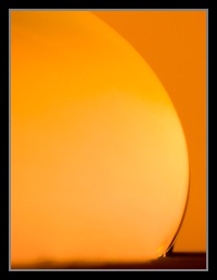 Abstract Photos For Sale 26