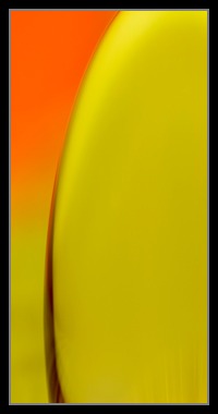 Abstract Photos For Sale Online 28