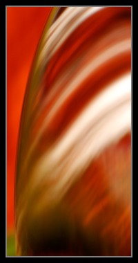 Abstract Photos For Sale Online 29