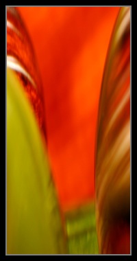 Abstract Photos For Sale 30
