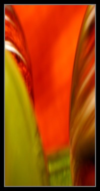 Abstract Photos For Sale Online 30