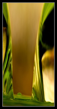 Abstract Photos For Sale Online 33
