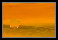 Abstract Photos For Sale Online 39