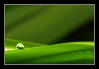 Abstract Photos For Sale 44