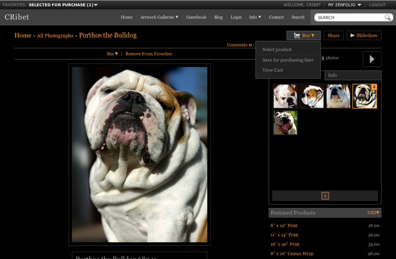 Porthos the Bulldog Buy B