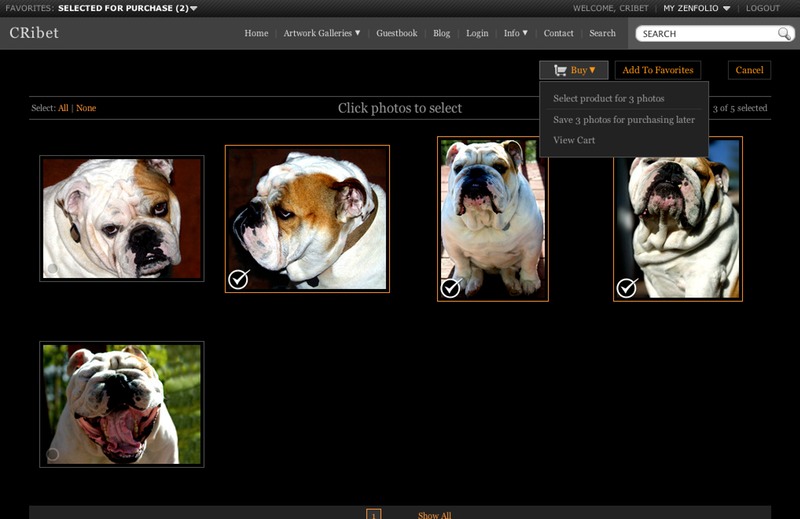 Porthos the Bulldog Gallery Checked